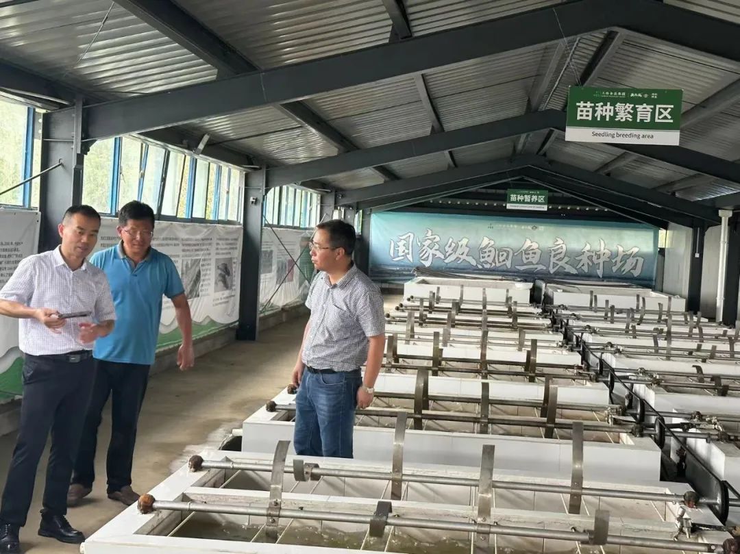 77体育 – 全网最全最有态度的体育赛事直播平台